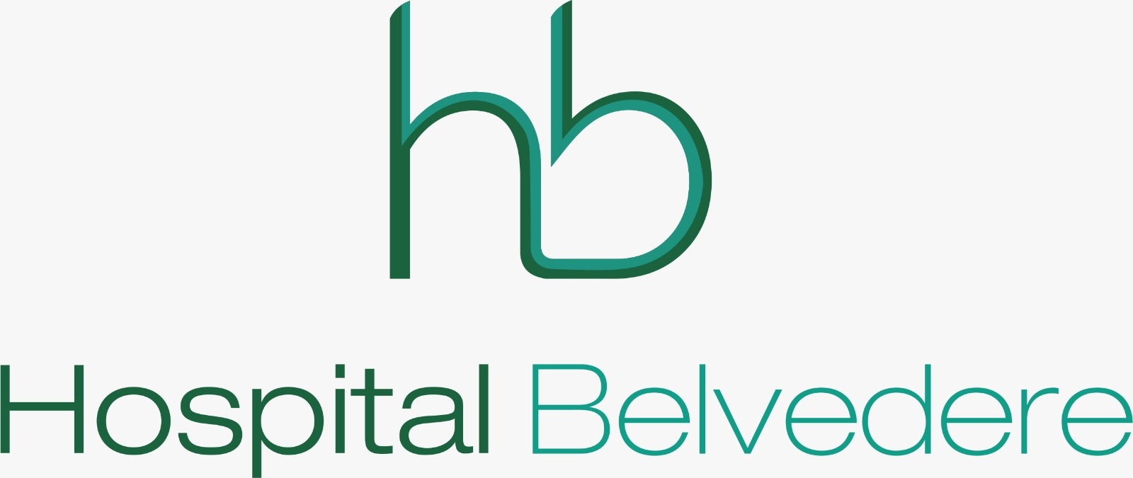 Logo Hospital Belvedere em Belo Horizonte